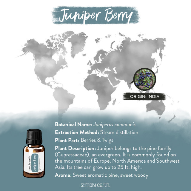 Simply Earth | Juniper Berry Essential Oil